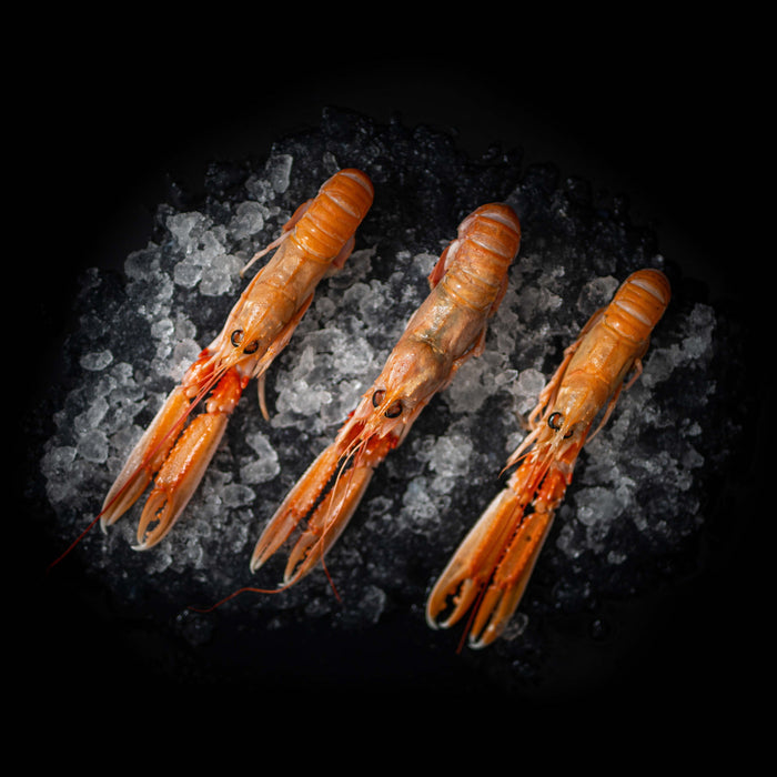 Jomfruhummer 1 kg