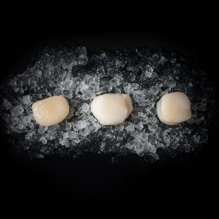 Kammuslinger 100 g