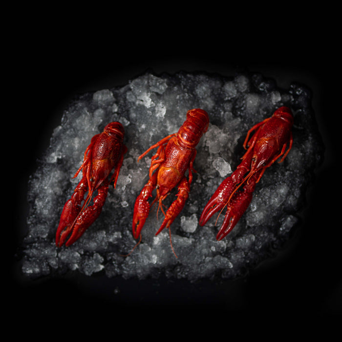 Kogte krebs 1 kg